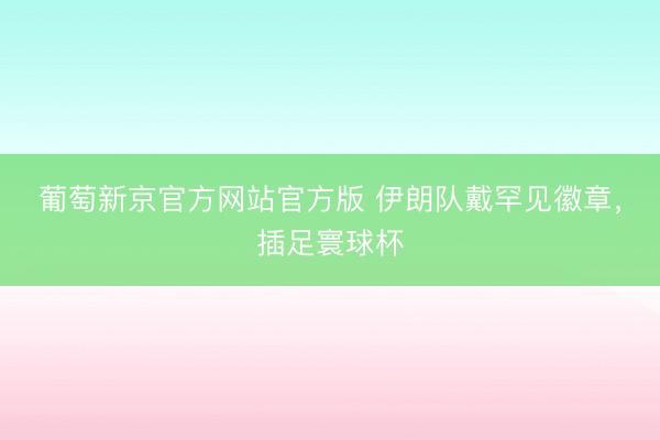 葡萄新京官方网站官方版 伊朗队戴罕见徽章,插足寰球杯