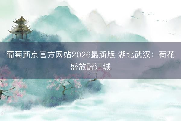 葡萄新京官方网站2026最新版 湖北武汉：荷花盛放醉江城