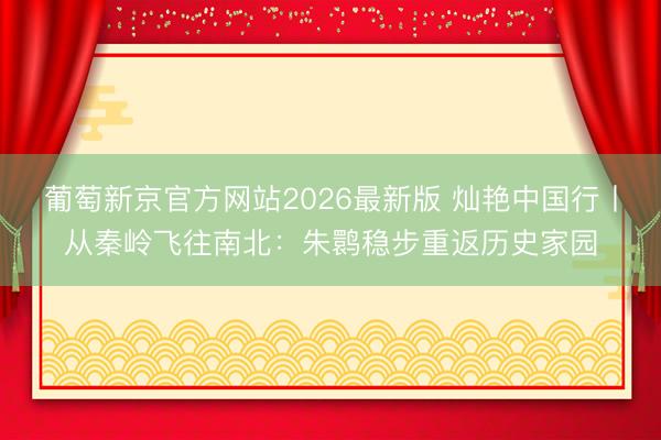 葡萄新京官方网站2026最新版 灿艳中国行丨从秦岭飞往南北：朱鹮稳步重返历史家园