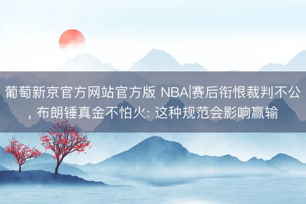 葡萄新京官方网站官方版 NBA|赛后衔恨裁判不公， 布朗锤真金不怕火: 这种规范会影响赢输