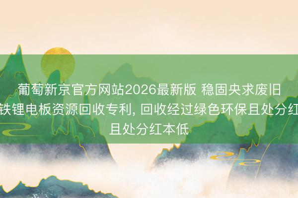 葡萄新京官方网站2026最新版 稳固央求废旧磷酸铁锂电板资源回收专利， 回收经过绿色环保且处分红本低