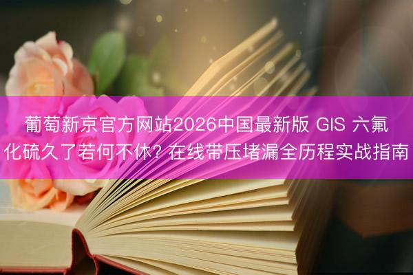 葡萄新京官方网站2026中国最新版 GIS 六氟化硫久了若何不休? 在线带压堵漏全历程实战指南