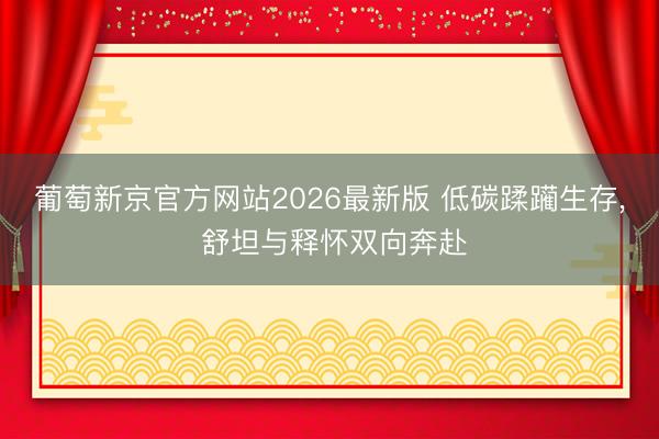 葡萄新京官方网站2026最新版 低碳蹂躏生存， 舒坦与释怀双向奔赴