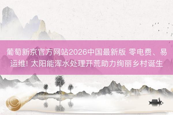 葡萄新京官方网站2026中国最新版 零电费、易运维! 太阳能浑水处理开荒助力绚丽乡村诞生