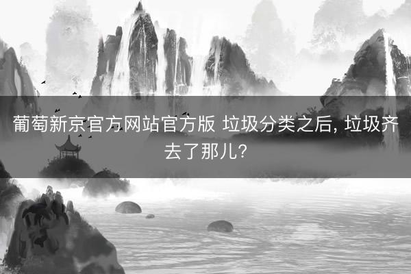 葡萄新京官方网站官方版 垃圾分类之后， 垃圾齐去了那儿?