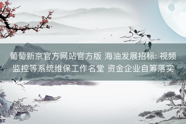 葡萄新京官方网站官方版 海油发展招标: 视频监控等系统维保工作名堂 资金企业自筹落实