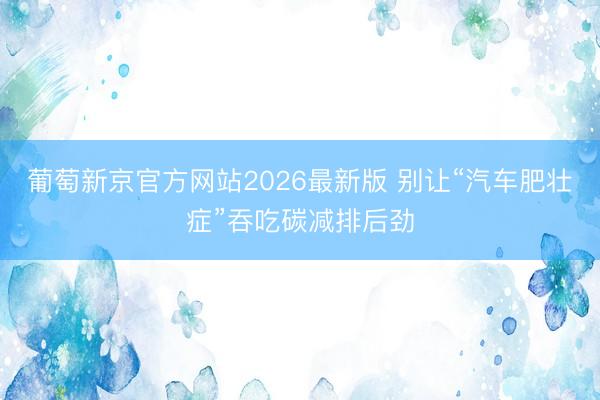 葡萄新京官方网站2026最新版 别让“汽车肥壮症”吞吃碳减排后劲
