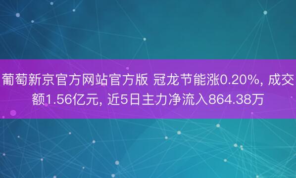 葡萄新京官方网站官方版 冠龙节能涨0.20%, 成交额1.56亿元, 近5日主力净流入864.38万