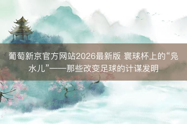 葡萄新京官方网站2026最新版 寰球杯上的“凫水儿”——那些改变足球的计谋发明