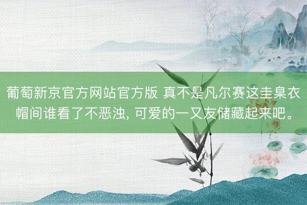 葡萄新京官方网站官方版 真不是凡尔赛这圭臬衣帽间谁看了不恶浊， 可爱的一又友储藏起来吧<a href=