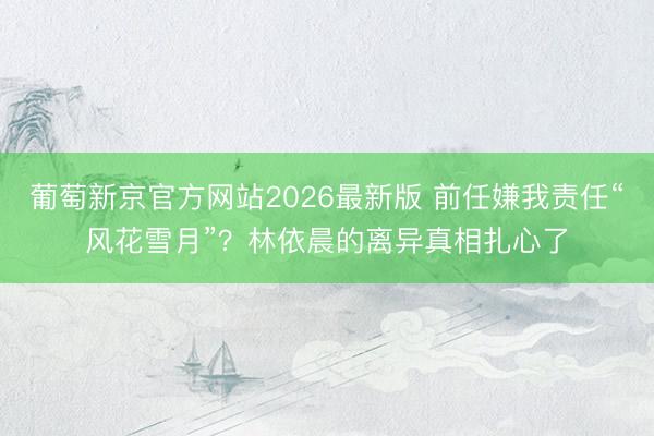 葡萄新京官方网站2026最新版 前任嫌我责任“风花雪月”？林依晨的离异真相扎心了
