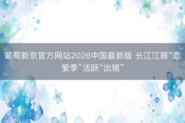 葡萄新京官方网站2026中国最新版 长江江豚“恋爱季”活跃“出镜”
