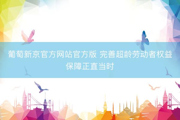葡萄新京官方网站官方版 完善超龄劳动者权益保障正直当时