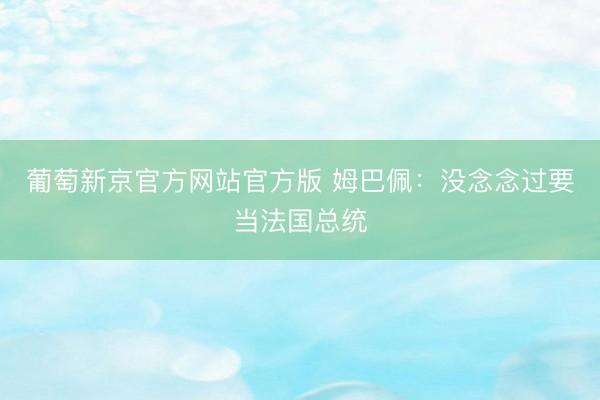 葡萄新京官方网站官方版 姆巴佩：没念念过要当法国总统