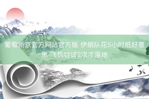 葡萄新京官方网站官方版 伊朗队花5小时抵好意思 飞机尝试2次才落地