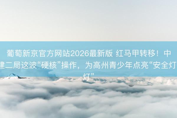 葡萄新京官方网站2026最新版 红马甲转移!中建二局这波“硬核”操作,为高州青少年点亮“安全灯”