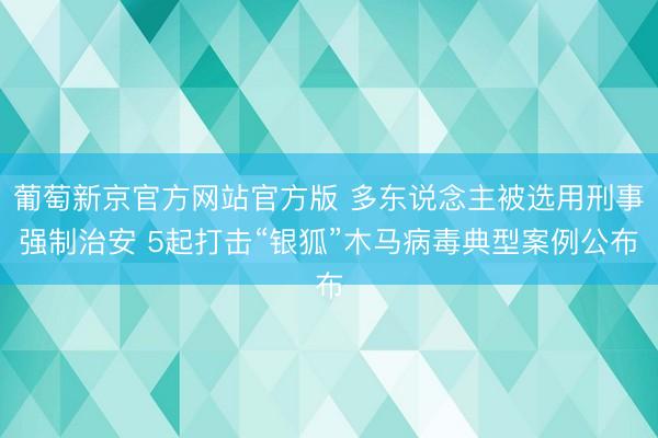 葡萄新京官方网站官方版 多东说念主被选用刑事强制治安 5起打击“银狐”木马病毒典型案例公布